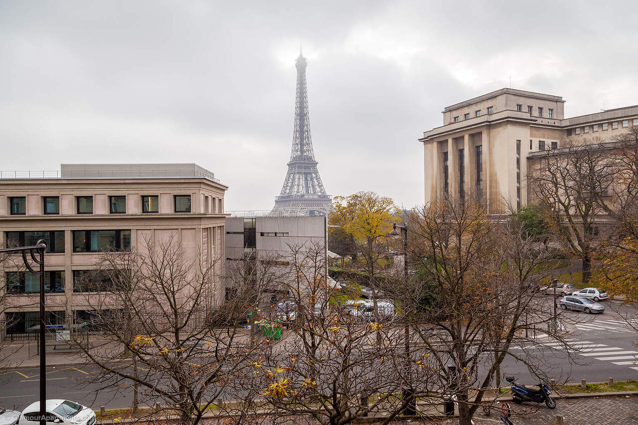 Président Wilson - Eiffel Tower View 